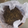 龙井茶2024年新茶正宗杭州明前级绿茶浓香型春茶散装茶叶500g晒单图