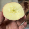 洛川苹果 陕西洛川红富士苹果礼盒 皮薄肉厚脆爽多汁 15枚70mm 小果苹果水果晒单图