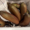 [西沛生鲜]通货国产红皮香蕉 5斤装 美人蕉 孕妇水果宝宝辅食 新鲜当季红香蕉 国产热带水果晒单图