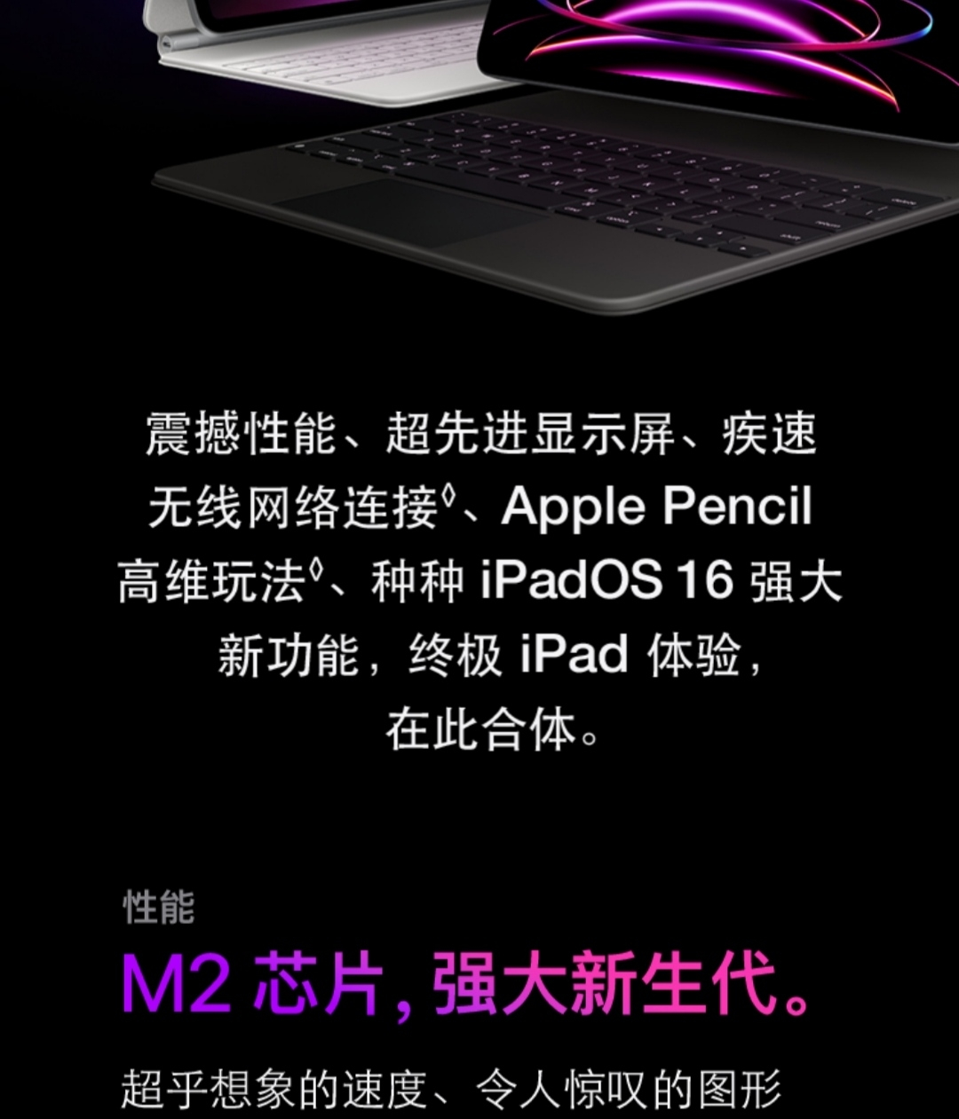 MNXF3CH/A 2022款 Apple iPad Pro 11英寸 256G WLAN版 平板电脑 深空灰色晒单图