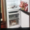 海尔(Haier)180升双门冰箱 节能家用电冰箱 两门冰箱 家用小冰箱 冷藏冷冻BCD-180TMPS晒单图