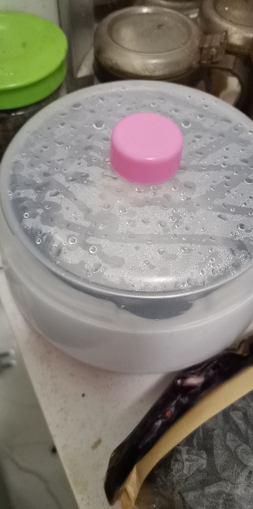 酸奶家用酸奶机多功能全自动自制小型发酵玻璃分杯纳豆米酒时光旧巷酸奶机 经济:钢胆晒单图