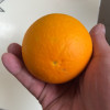 [中华特色]秭归馆 秭归脐橙春橙 伦晚新鲜橙子 5斤装65-70mm 中果 产地直发 华中晒单图