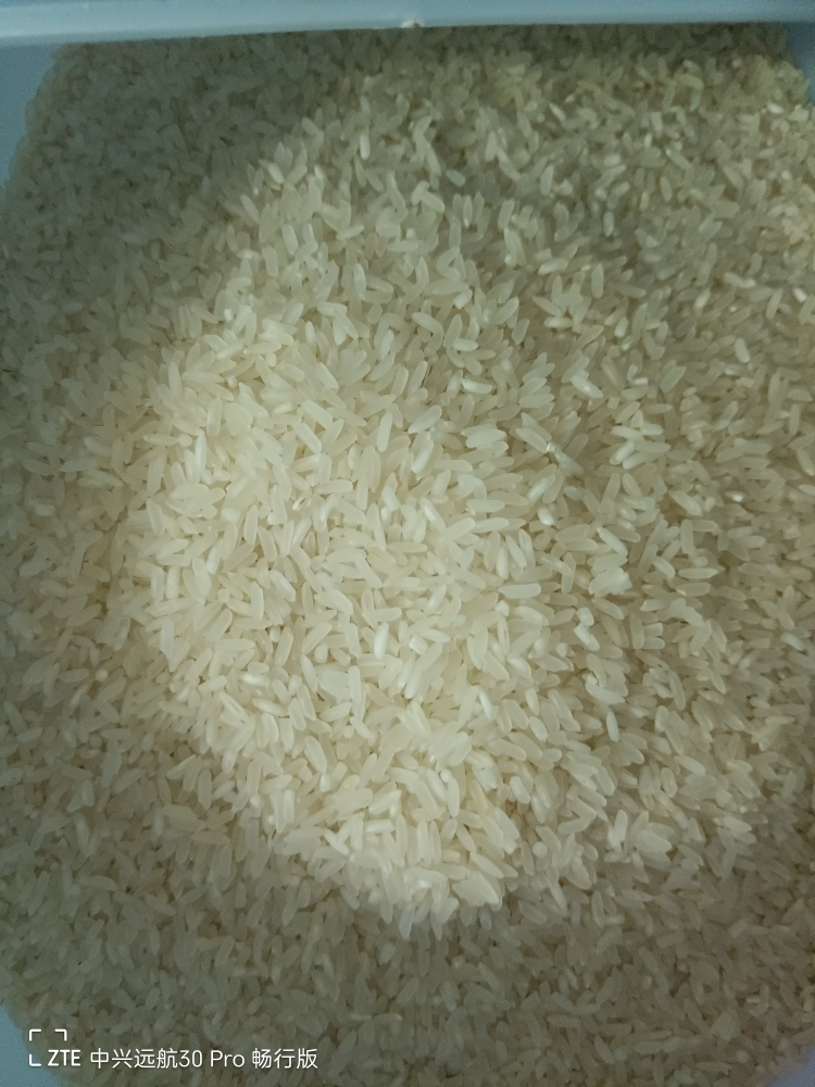 [新大米10斤]米 稻米无抛光 农家自产5kg长粒香米 10斤 软香米晒单图