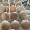 [五个农民]可生食蛋 30枚装 1200g 高端新鲜可生食无菌鸡蛋晒单图