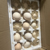 [西沛生鲜] 新鲜谷物鸡蛋 30枚 散养土鸡蛋 柴鸡蛋笨鸡蛋草鸡蛋整箱晒单图