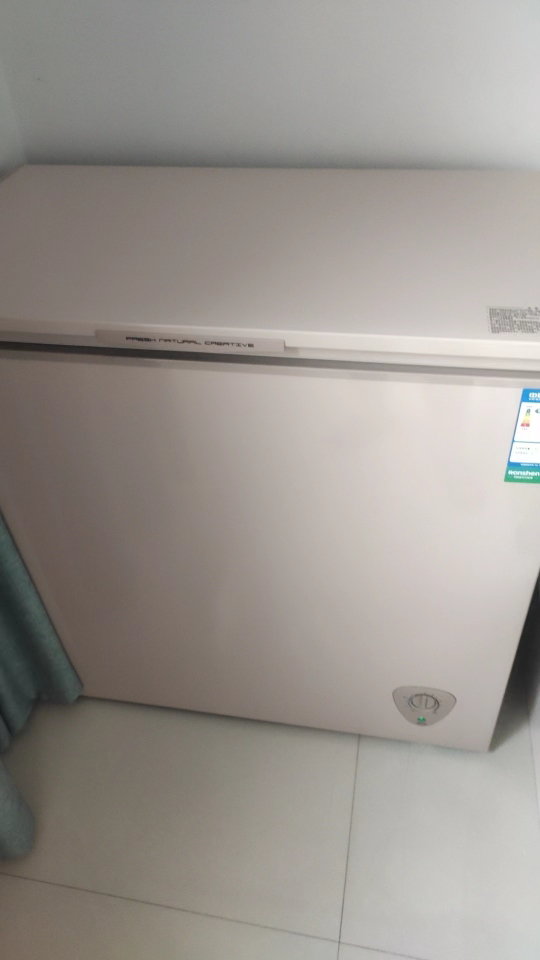 容声(Ronshen)205升低霜小型冰柜家用商用单温冷柜冷藏冷冻转换 一级能效节能冷冻柜BD/BC-205ZMSM晒单图