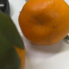 四川春见耙耙柑 5斤带箱 65-70mm 丑八怪橙子新鲜柑橘蜜桔 新鲜水果生鲜陈小四水果四川特产晒单图