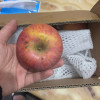 [西沛生鲜]云南昭通苹果 净重5斤 大果 14个左右 新鲜应当季水果整箱时令丑红富士晒单图