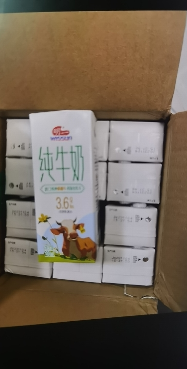 明一(wissun)[3箱更划算]天籁牧场纯牛奶娟姗牛荷斯坦牛常温牛奶 3.6g乳蛋白晒单图
