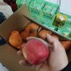 [西沛生鲜]正宗陕西洛川红富士苹果 净重5斤 中果 单果75-80mm 新鲜时令水果当季整箱晒单图