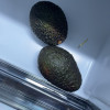 [熊猫鸟]秘鲁新鲜牛油果 进口新鲜水果 4个装 单果100g-140g 进口水果晒单图