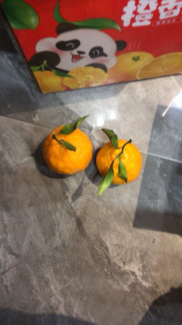 [西沛生鲜] 四川不知火柑橘 净重9斤 大果 果径75-80mm 箱装 丑橘 橘子 新鲜应季水果 西沛晒单图
