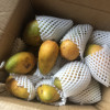鲜贝达 海南小台农芒果5斤大果(90-120g起)新鲜现摘 小台芒 应季热带水果 芒果晒单图