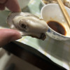 蚝范儿乳山生蚝1+鲜活5斤牡蛎活鲜海蛎子带箱新鲜海鲜晒单图