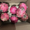 [西沛生鲜] 京都一号红心火龙果 5斤 大果 单果350g以上 箱装 热带 水果 当季新鲜晒单图