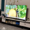 Vidda R65 Pro 海信65英寸全面屏4K智能家用液晶平板电视机新品晒单图