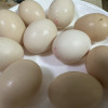 苏宁自营 晋龙 新鲜鸡蛋10枚红心蛋非农家散养鸡蛋晒单图