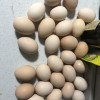 [西沛生鲜] 新鲜谷物鸡蛋 30枚 散养土鸡蛋 柴鸡蛋笨鸡蛋草鸡蛋整箱晒单图