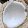 [西沛生鲜]海南椰青 当季热带水果 水果椰子 9个装 现摘现发 营养美味 清甜可口晒单图