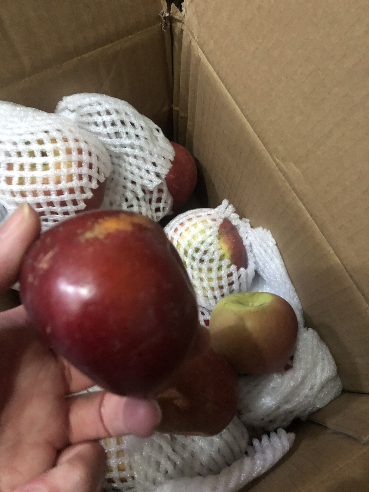 [苏鲜生]云南昭通苹果 净重5斤 中果 单果60-70mm 新鲜应当季水果整箱时令水果晒单图