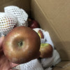 [苏鲜生]云南昭通苹果 净重5斤 中果 单果60-70mm 新鲜应当季水果整箱时令水果晒单图