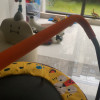弥鹿(MiDeer)儿童家用室内小型蹦蹦床小型蹭床宝宝弹床玩具-跳跳豹折叠蹦床晒单图