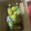 [西沛生鲜]新鲜小台芒果 净重5斤装 大果 单果130g以上 新鲜水果 香甜可口晒单图