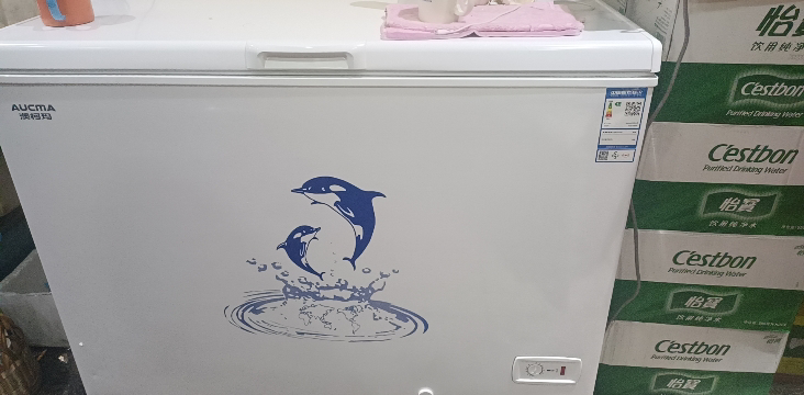 澳柯玛BC/BD-308HNE大容量家用冰柜一级能效减霜阻霜商用冷柜顶开冷冻冷藏冰箱晒单图