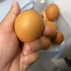 苏鲜生 [苏宁自有品牌]咯咯哒醇香金鸡蛋1.8千克(30枚)可生食鸡蛋 含有叶黄素和OMEGA-3无菌蛋温泉蛋溏心鸡蛋晒单图