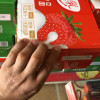 [12月产]蒙牛 酸酸乳 乳味饮品 原味 250ml×24盒/提晒单图