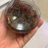 雪海梅乡 韩式话梅160g*1罐装 果干蜜饯休闲零食小吃果脯梅干晒单图