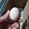 [苏鲜生]富硒鸡蛋喷码装 30枚 散养土鸡蛋柴鸡蛋笨鸡蛋草鸡蛋富硒蛋晒单图