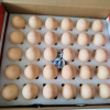 晋龙新鲜鸡蛋六无蛋30枚无鱼腥味无抗生素添加晒单图