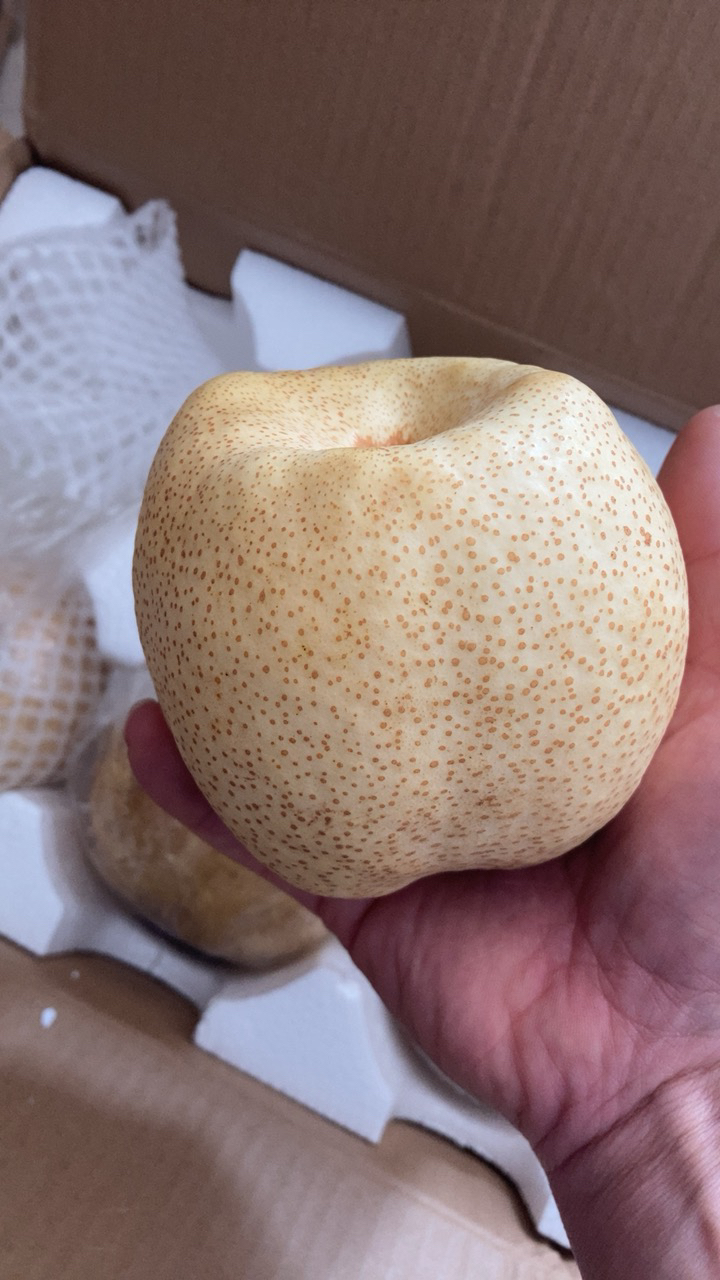 [鲜贝达]新鲜砀山酥梨5斤装(单果300克以上) 当季脆甜梨子 早酥梨 梨子水果晒单图
