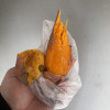[苏鲜生]山东烟薯25号 净重5斤 中大果 红心糖心蜜薯 新鲜农家沙地超甜地瓜山芋晒单图