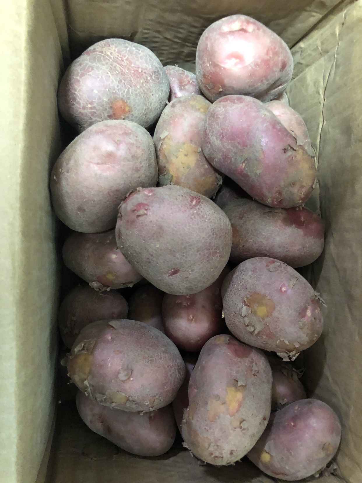[西沛生鲜]新鲜云南红皮小土豆 大果 净重8.5斤装 单果100-200g 新鲜蔬菜 农家种植 西沛晒单图