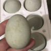 [西沛生鲜]河南 特产 松花皮蛋 6枚 60-70g/个 正宗土鸭蛋新鲜腌制溏心皮蛋河南特产变蛋晒单图