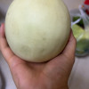 [苏鲜生]海南玉菇甜瓜 净重8.5-9斤装 3-6个 蜜瓜香瓜 当季甜瓜新鲜水果晒单图