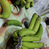 赛卡伊 云南香蕉整箱当季水果新鲜10斤自然熟十斤不是红皮海南小米蕉 带箱10斤装晒单图