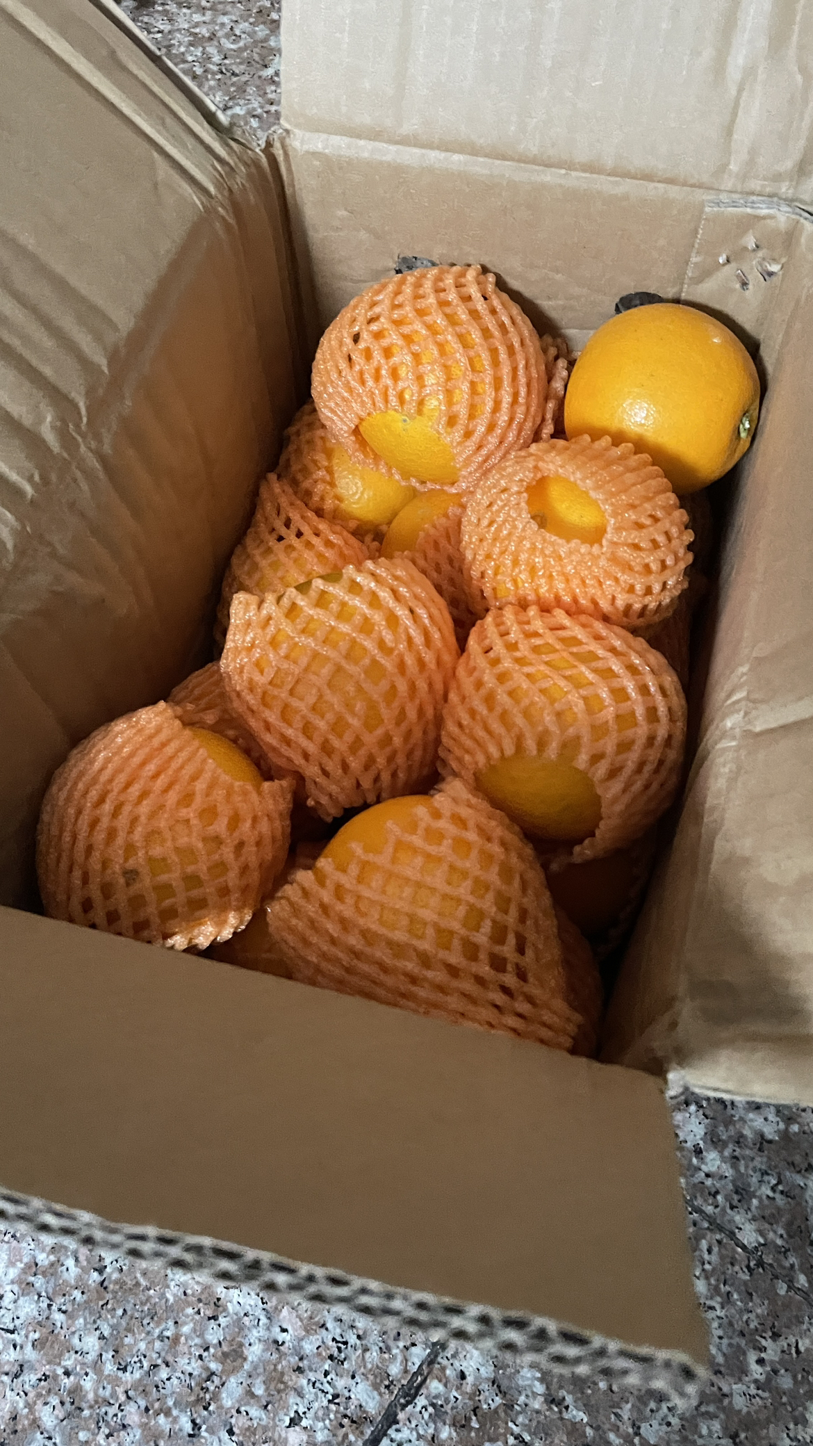 [中华特色]秭归馆 秭归脐橙 伦晚橙 时令鲜橙5斤装 果径55-65mm 果园直发 华中晒单图