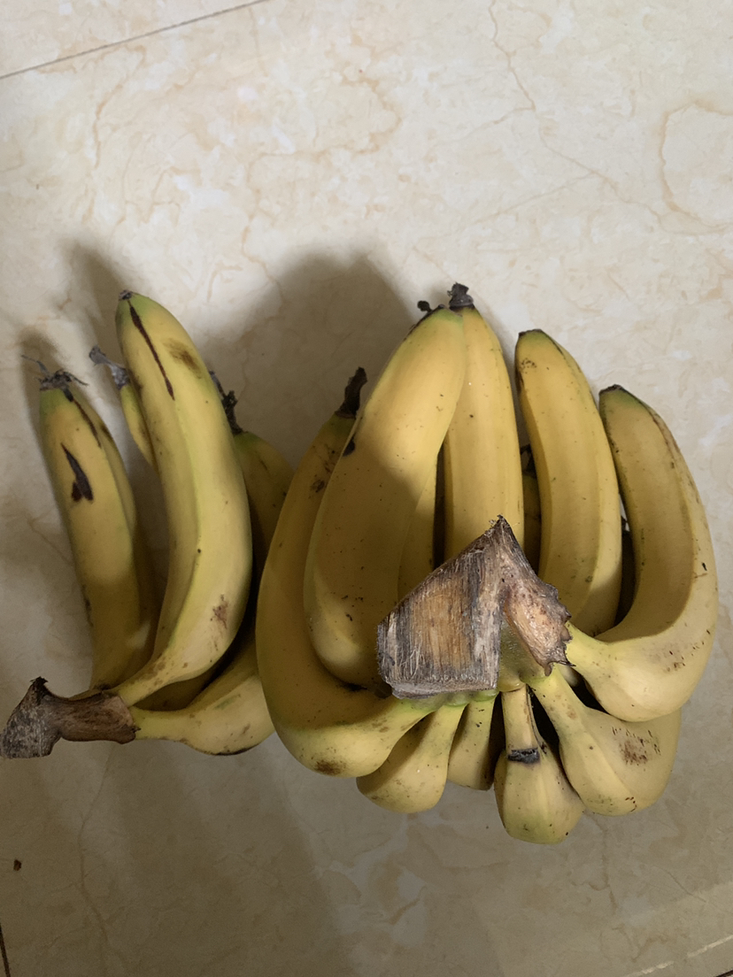 [西沛生鲜]福建天宝香蕉5斤箱装 新鲜当季水果 香甜软糯 孕妇宝宝辅食晒单图