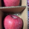 洛川苹果 陕西洛川红富士苹果礼盒 皮薄肉厚脆爽多汁 15枚70mm 小果苹果水果晒单图
