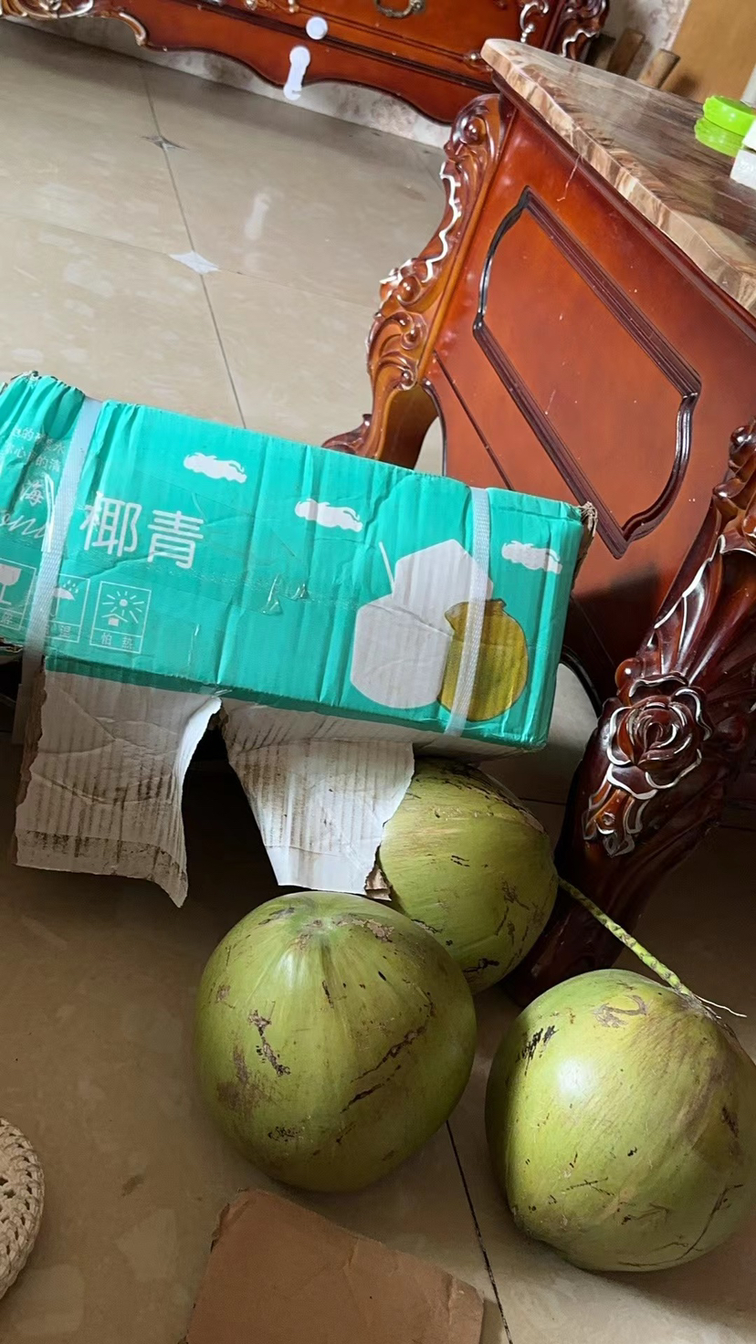 [西沛生鲜]海南椰青带皮 4个装 单果3.5-6斤 新鲜椰子 当季热带水果 汁水充沛 西沛晒单图