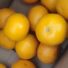[中华特色]秭归馆 秭归脐橙 伦晚橙 时令鲜橙5斤装 果径55-65mm 果园直发 华中晒单图