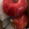 [西沛生鲜]新西兰进口gala加力苹果 4粒装单果140g-160g皇后甜脆苹果苹果应季新鲜水果富士阿克苏苹果晒单图