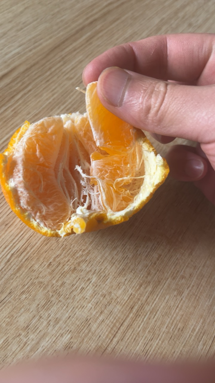 [西沛生鲜]四川不知火柑橘 净重3斤 大果 果径75-80mm 箱装 丑橘 橘子 新鲜应季水果 西沛晒单图