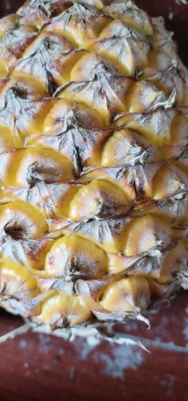 [西沛生鲜]海南手撕凤梨 带箱3斤 1-2个装 当季热带水果 香甜可口 产地直发 西沛晒单图