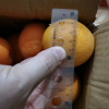 [苏鲜生]正宗伦晚脐橙 净重4.5斤 13-16枚 中果 橙子水果新鲜当季整箱斤果冻甜橙春橙伦晚脐橙晒单图