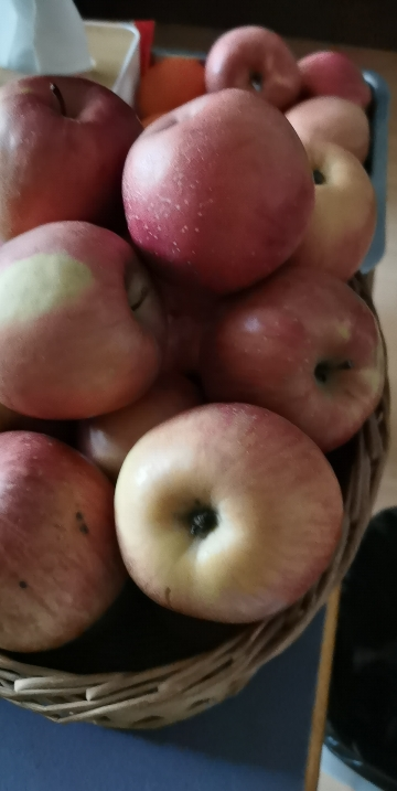 [苏鲜生]云南昭通苹果 净重9斤 中果 单果60-70mm 新鲜应当季水果整箱时令水果晒单图